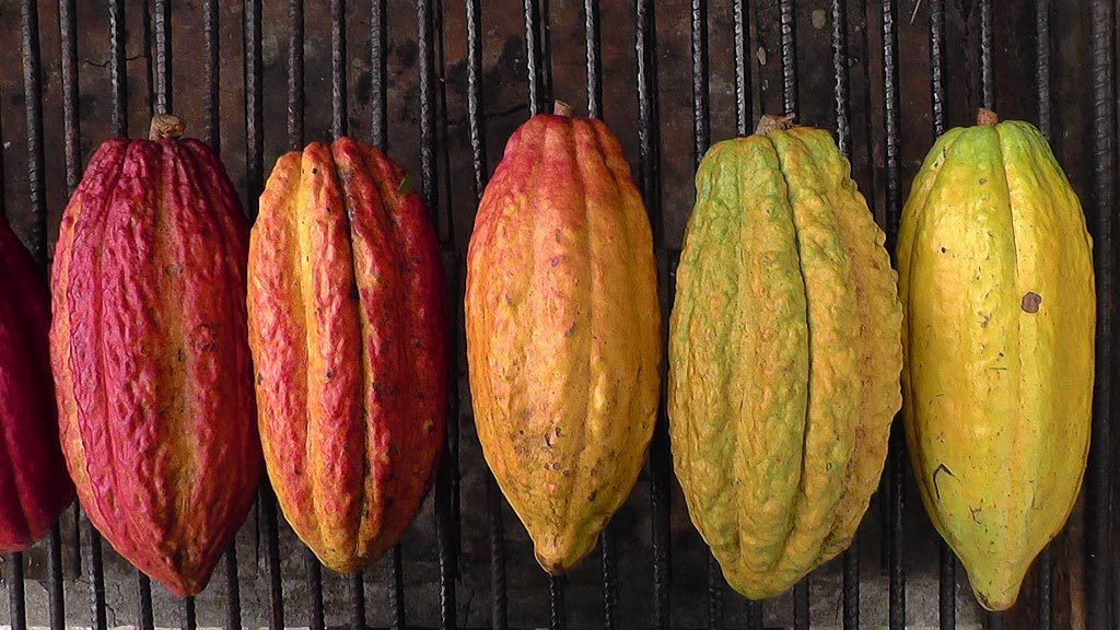 Arriba pods